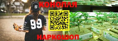 спиды Дубна