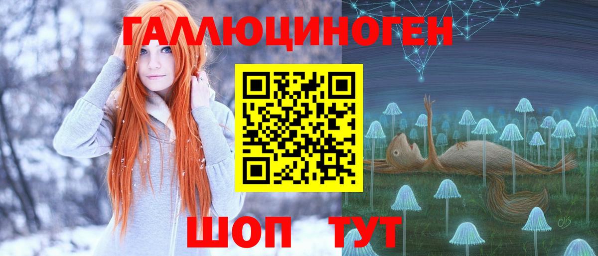 Галлюциногенные грибы Psilocybe Мценск