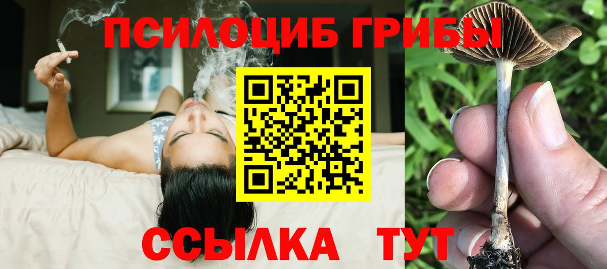 Псилоцибиновые грибы прущие грибы  Галлюциногенные грибы мицелий  Мценск  Вход с VPN 